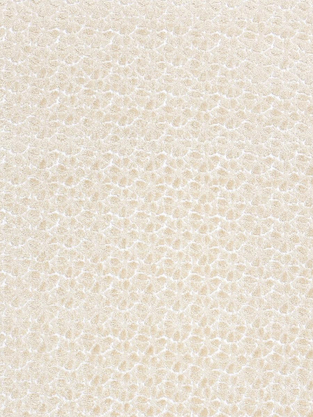Hinson Petal Velvet Ivory Fabric