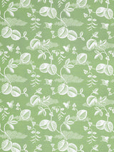 Hinson Pepper Pear Fabric