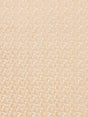 Hinson Petal Velvet Peach Fuzz Fabric