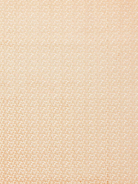 Hinson Petal Velvet Peach Fuzz Fabric
