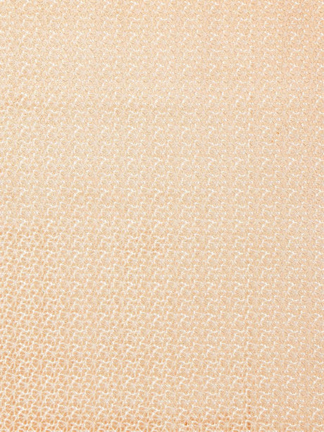 Hinson Petal Velvet Peach Fuzz Fabric