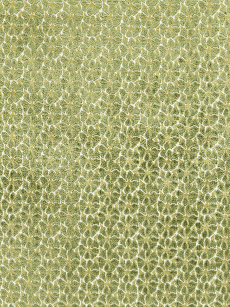 Hinson Petal Velvet Leaf Fabric