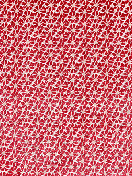 Hinson Petal Velvet Red Fabric