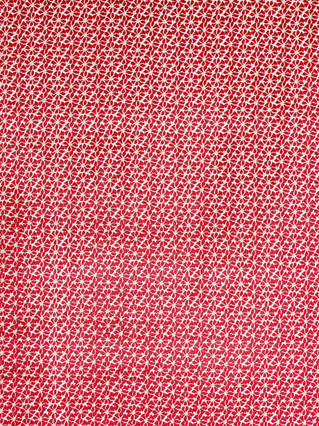 Hinson Petal Velvet Red Fabric