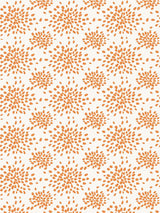 Hinson Fireworks Tangerine Wallpaper