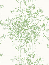 Hinson Kurt Pear Wallpaper