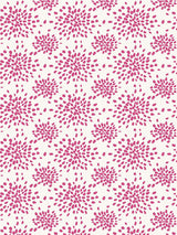 Hinson Fireworks Azalea Wallpaper