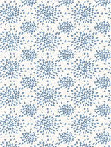 Hinson Fireworks Delphinium Wallpaper