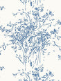 Hinson Kurt Delphinium Wallpaper