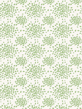 Hinson Fireworks Pear Wallpaper