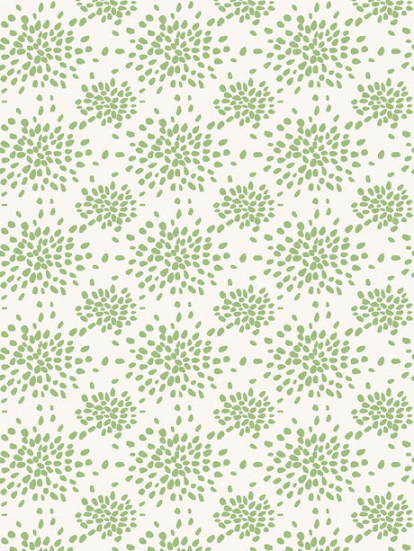 Hinson Fireworks Pear Wallpaper