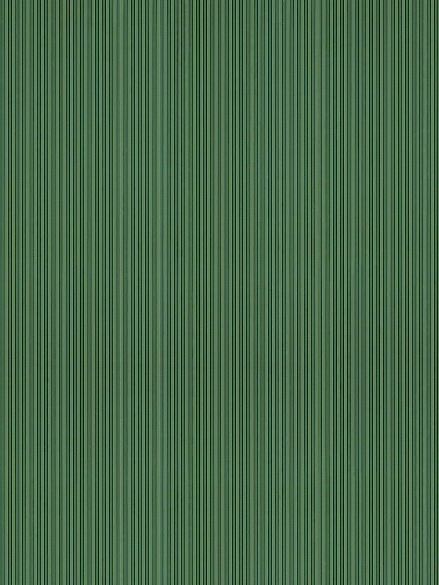 Hinson Wilson Stripe Fern Wallpaper