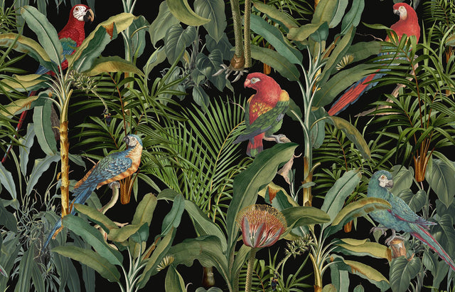 MindTheGap PARROTS OF BRASIL Anthracite TROPICAL WANDERLUST Wallpaper