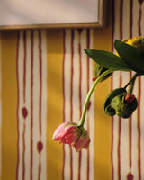 MindTheGap MINUANO Lemon JAZZ LIVE Wallpaper