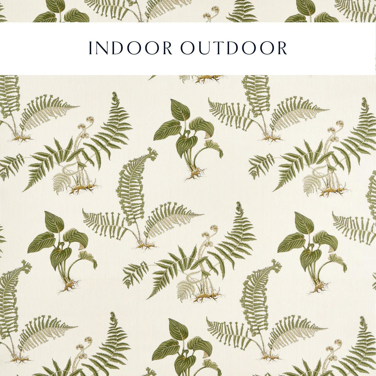 Sanderson Hosta & Fern Olivine Fabric
