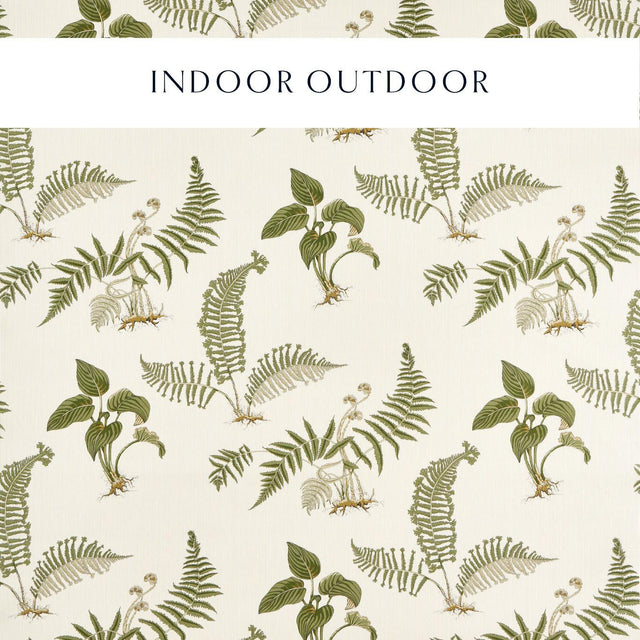 Sanderson Hosta & Fern Olivine Fabric