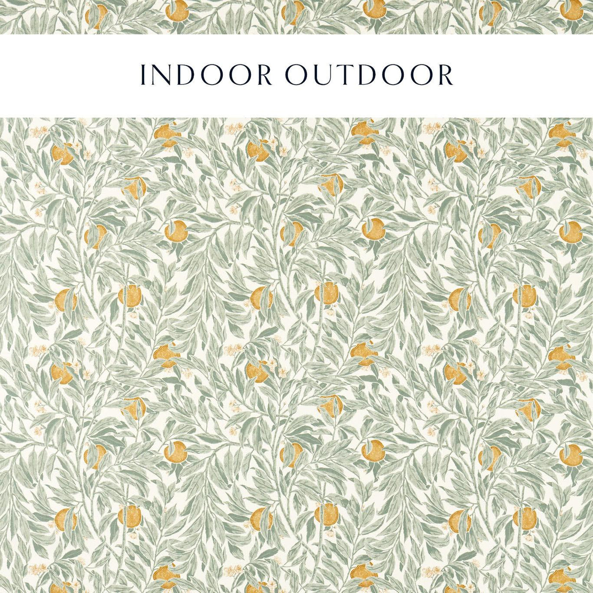 Sanderson Ancient Apple Orchard Golden Knot & Sage Fabric