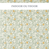 Sanderson Ancient Apple Orchard Golden Knot & Sage Fabric