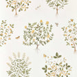 Sanderson Thyme Walk Lichen/Gooseberry Wallpaper