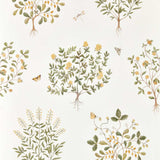 Sanderson Thyme Walk Lichen/Gooseberry Wallpaper