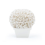 Villa & House Blanc de Chine Boston Round Boxwood Topiary
