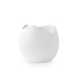 Villa & House Blanc de Chine Cambria Vase