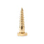 Villa & House Brass Screw Statue
