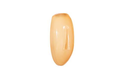 Phillips Collection Classic Concave Cycladic Wall Art Yellow Accent