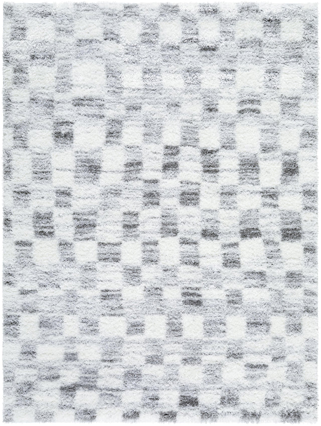 Surya Cloudy Shag CDG-2332 6'7" x 9' Rug