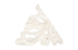 Phillips Collection Contour Cast Root Triangle Wall Art Faux Bleached Accent