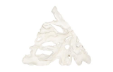 Phillips Collection Contour Cast Root Triangle Wall Art Faux Bleached Accent