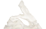 Phillips Collection Contour Cast Root Triangle Wall Art Faux Bleached Accent