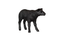 Phillips Collection Texelaar Sheep, Lamb, Gel Coat Black Black Accent