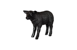 Phillips Collection Texelaar Sheep, Lamb, Gel Coat Black Black Accent