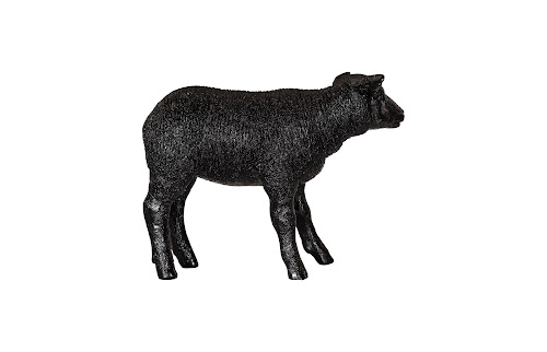 Phillips Collection Texelaar Sheep, Lamb, Gel Coat Black Black Accent