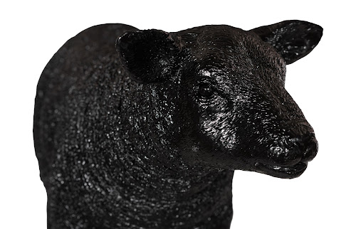 Phillips Collection Texelaar Sheep, Lamb, Gel Coat Black Black Accent