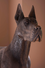 Phillips Collection Great Dane Standing Bronze Accent