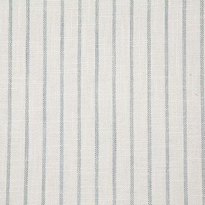 Pindler HARDWICK SKY Fabric