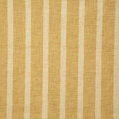 Pindler WYNN DANDELION Fabric