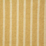 Pindler WYNN DANDELION Fabric