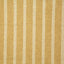 Pindler WYNN DANDELION Fabric