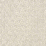 Clarke & Clarke LUNAR NATURAL Fabric