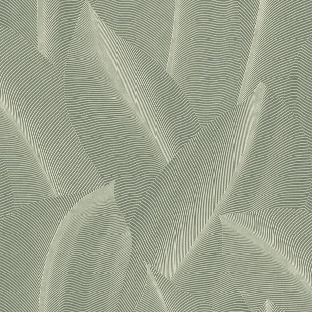 Veer Decor Allure Leaf Moss Wallpaper
