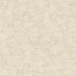 Veer Decor Pampas Plain Brushed Texture Ivory Wallpaper