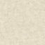 Veer Decor Pampas Plain Brushed Texture Ivory Wallpaper