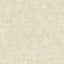 Veer Decor Pampas Plain Brushed Texture Ivory Wallpaper