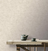 Veer Decor Pampas Plain Brushed Texture Light Grey Wallpaper