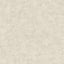 Veer Decor Pampas Plain Brushed Texture Light Grey Wallpaper