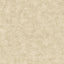 Veer Decor Pampas Plain Brushed Texture Warm Beige Wallpaper