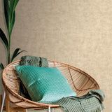 Veer Decor Pampas Plain Brushed Texture Warm Beige Wallpaper